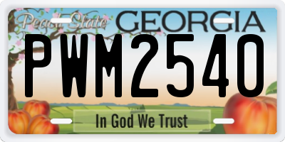 GA license plate PWM2540