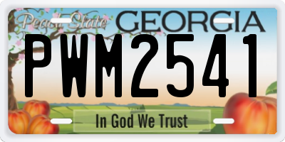 GA license plate PWM2541