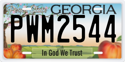 GA license plate PWM2544