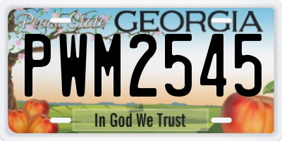 GA license plate PWM2545