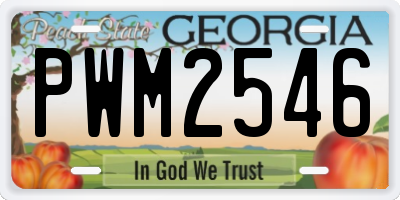 GA license plate PWM2546
