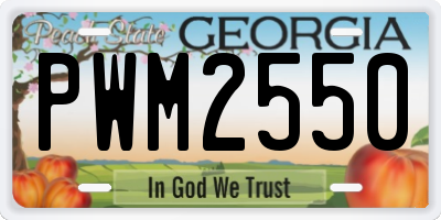 GA license plate PWM2550