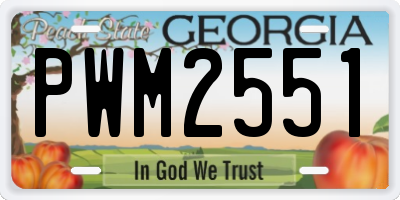 GA license plate PWM2551