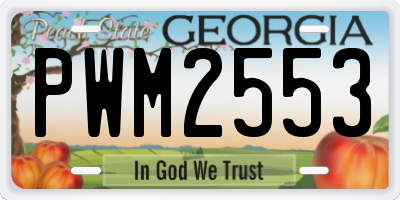 GA license plate PWM2553