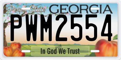 GA license plate PWM2554