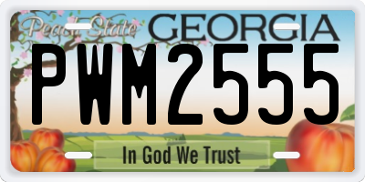 GA license plate PWM2555