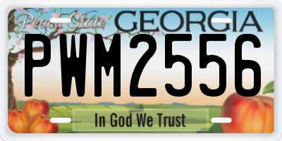 GA license plate PWM2556