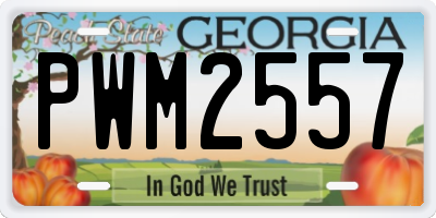 GA license plate PWM2557