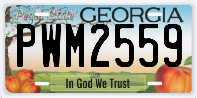 GA license plate PWM2559