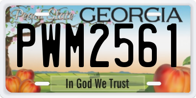 GA license plate PWM2561