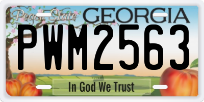 GA license plate PWM2563