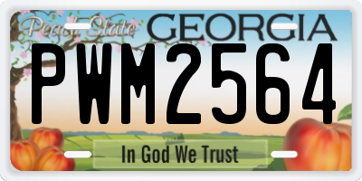 GA license plate PWM2564
