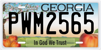 GA license plate PWM2565