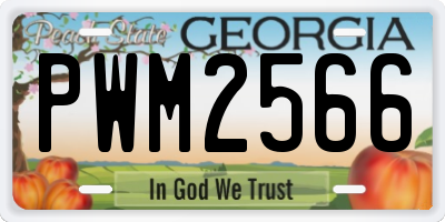 GA license plate PWM2566