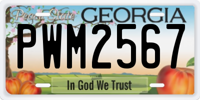 GA license plate PWM2567
