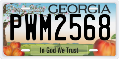 GA license plate PWM2568