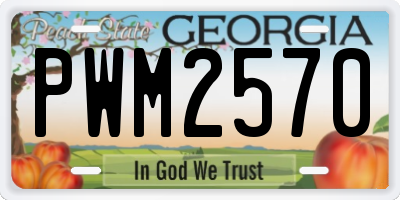 GA license plate PWM2570