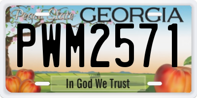GA license plate PWM2571