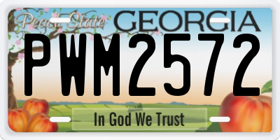 GA license plate PWM2572