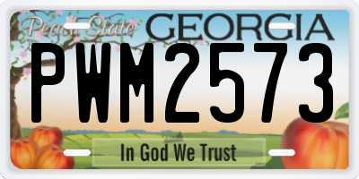 GA license plate PWM2573