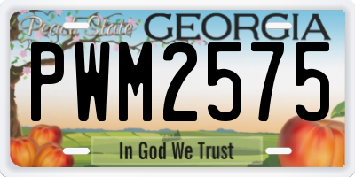 GA license plate PWM2575