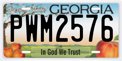 GA license plate PWM2576