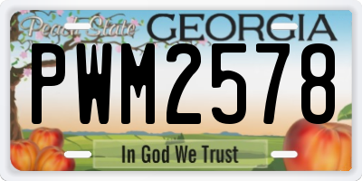 GA license plate PWM2578