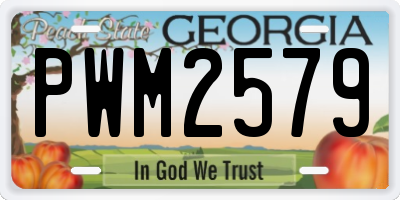 GA license plate PWM2579