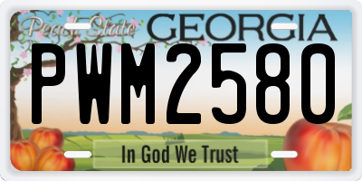 GA license plate PWM2580