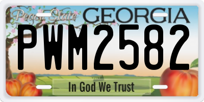 GA license plate PWM2582
