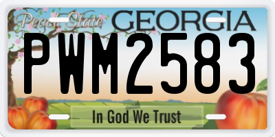 GA license plate PWM2583
