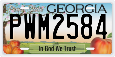 GA license plate PWM2584