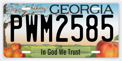 GA license plate PWM2585