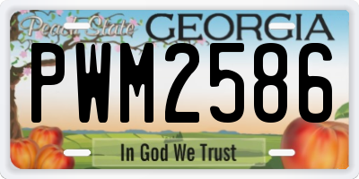 GA license plate PWM2586