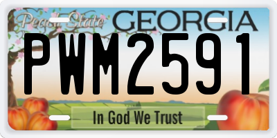 GA license plate PWM2591