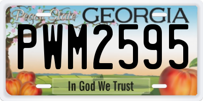 GA license plate PWM2595