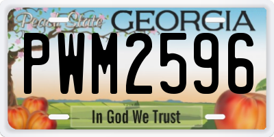 GA license plate PWM2596
