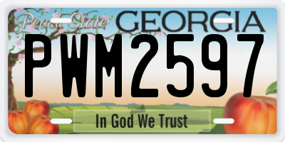 GA license plate PWM2597