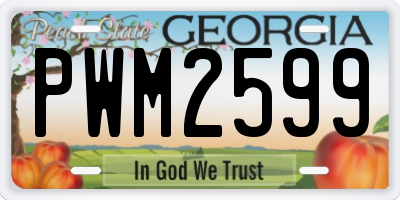 GA license plate PWM2599