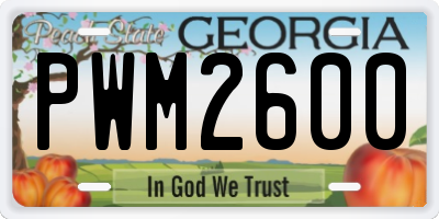 GA license plate PWM2600