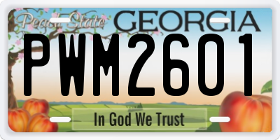 GA license plate PWM2601
