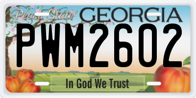 GA license plate PWM2602