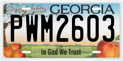 GA license plate PWM2603