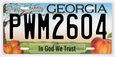 GA license plate PWM2604