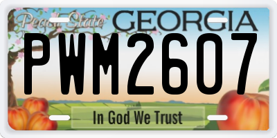 GA license plate PWM2607