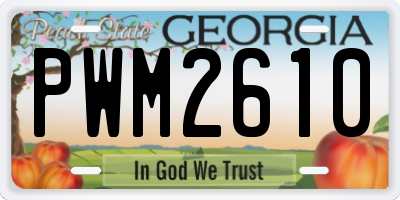 GA license plate PWM2610