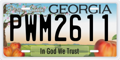GA license plate PWM2611