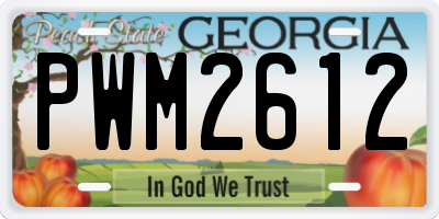 GA license plate PWM2612