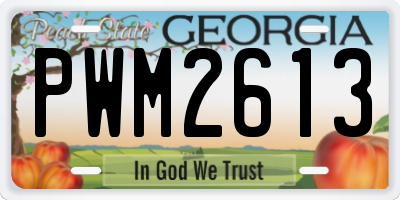 GA license plate PWM2613