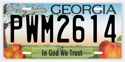GA license plate PWM2614